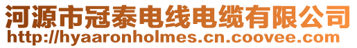 河源市冠泰電線電纜有限公司