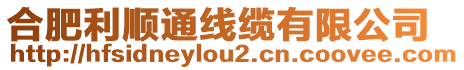 合肥利順通線纜有限公司