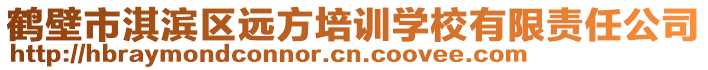 鶴壁市淇濱區(qū)遠方培訓學校有限責任公司