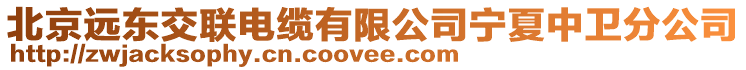 北京遠(yuǎn)東交聯(lián)電纜有限公司寧夏中衛(wèi)分公司