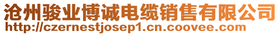 滄州駿業(yè)博誠電纜銷售有限公司