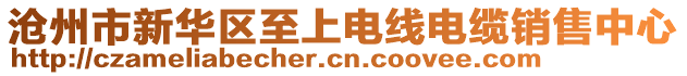 滄州市新華區(qū)至上電線電纜銷售中心