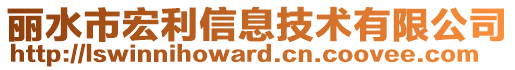 麗水市宏利信息技術有限公司