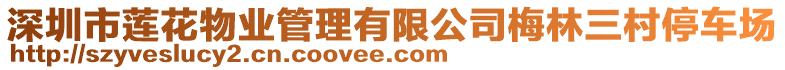 深圳市蓮花物業(yè)管理有限公司梅林三村停車場