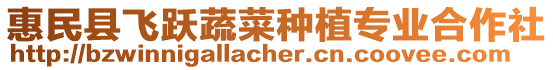 惠民縣飛躍蔬菜種植專業(yè)合作社