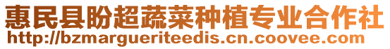惠民縣盼超蔬菜種植專業合作社