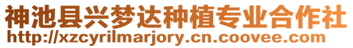 神池縣興夢(mèng)達(dá)種植專(zhuān)業(yè)合作社