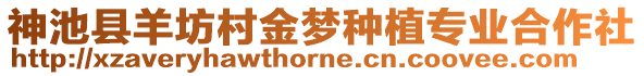 神池縣羊坊村金夢種植專業(yè)合作社