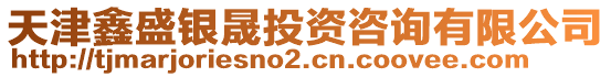 天津鑫盛銀晟投資咨詢有限公司