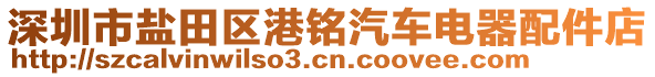 深圳市鹽田區(qū)港銘汽車電器配件店