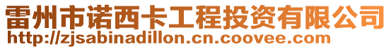 雷州市諾西卡工程投資有限公司