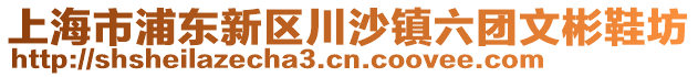 上海市浦東新區(qū)川沙鎮(zhèn)六團文彬鞋坊