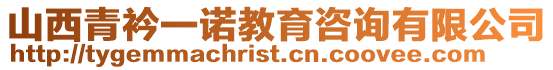 山西青衿一諾教育咨詢有限公司