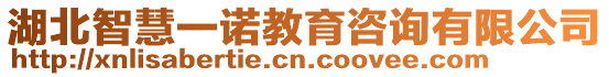 湖北智慧一諾教育咨詢有限公司