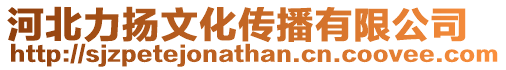 河北力揚文化傳播有限公司