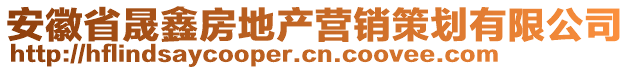 安徽省晟鑫房地產(chǎn)營(yíng)銷(xiāo)策劃有限公司