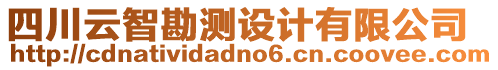 四川云智勘測設(shè)計有限公司