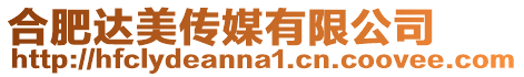 合肥達美傳媒有限公司