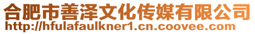 合肥市善澤文化傳媒有限公司
