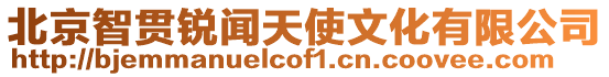 北京智貫銳聞天使文化有限公司