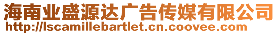 海南業(yè)盛源達(dá)廣告?zhèn)髅接邢薰? style=