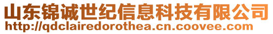 山東錦誠世紀(jì)信息科技有限公司