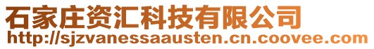 石家莊資匯科技有限公司