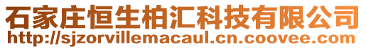 石家莊恒生柏匯科技有限公司