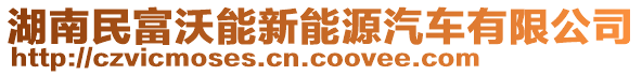 湖南民富沃能新能源汽車有限公司