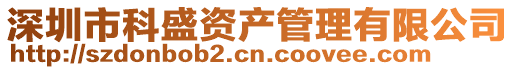 深圳市科盛資產管理有限公司