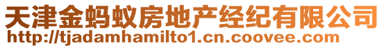 天津金螞蟻房地產經紀有限公司