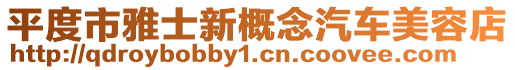 平度市雅士新概念汽車美容店