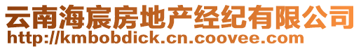 云南海宸房地產經紀有限公司