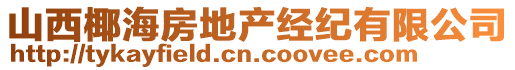 山西椰海房地產經紀有限公司