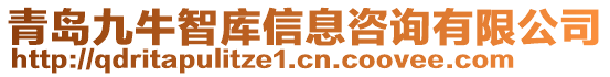 青島九牛智庫信息咨詢有限公司