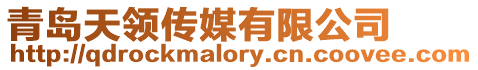 青島天領(lǐng)傳媒有限公司