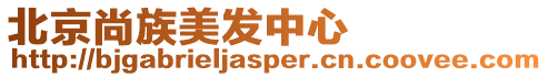 北京尚族美發(fā)中心