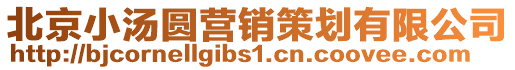 北京小湯圓營銷策劃有限公司