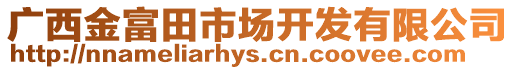 廣西金富田市場開發(fā)有限公司