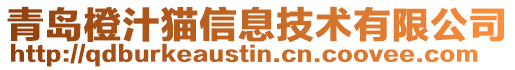 青島橙汁貓信息技術有限公司