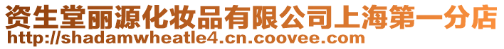 資生堂麗源化妝品有限公司上海第一分店