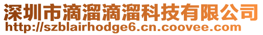 深圳市滴溜滴溜科技有限公司