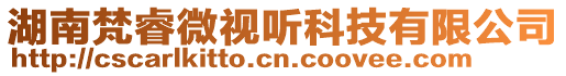 湖南梵睿微視聽科技有限公司