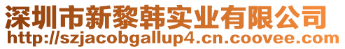 深圳市新黎韓實業有限公司