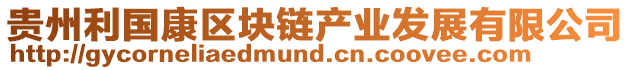 貴州利國康區塊鏈產業發展有限公司