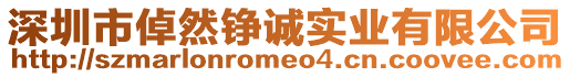 深圳市倬然錚誠實業有限公司
