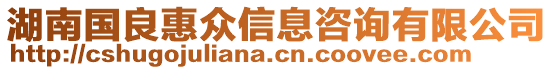 湖南國良惠眾信息咨詢有限公司