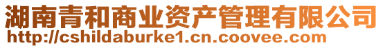 湖南青和商業(yè)資產(chǎn)管理有限公司