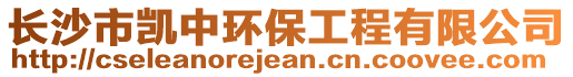 長(zhǎng)沙市凱中環(huán)保工程有限公司