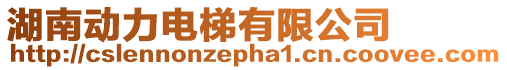 湖南動力電梯有限公司